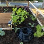 Cedar Complete Raised Garden Bed Kit with Greenhouse Cover 8' x 12' - Image 22