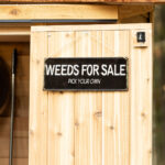 6' x 3' Patio Garden Shed - Image 7