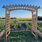 8' Cedar Walk-Through Garden Arbor - Image 3