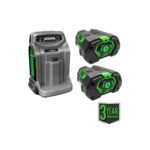 EGO LM2142SP 21" Poly Deck Dual-port SP Lawn Mower Kit (550W Charger, 2*5.0Ah) - Image 4