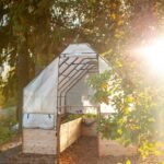 Cedar Complete Raised Garden Bed Kit with Greenhouse Cover 8' x 12' - Image 4