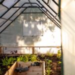 Cedar Complete Raised Garden Bed Kit with Greenhouse Cover 8' x 12' - Image 14