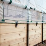 Cedar Complete Raised Garden Bed Kit with Greenhouse Cover 8' x 12' - Image 13