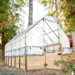 Cedar Complete Raised Garden Bed Kit with Greenhouse Cover 8' x 12'