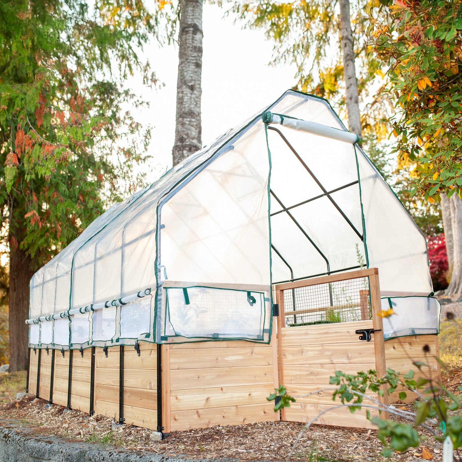 IMG_1318-Edit Cedar Complete Raised Garden Bed Kit with Greenhouse Cover 8' x 12' - Image 1