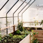 Cedar Complete Raised Garden Bed Kit with Greenhouse Cover 8' x 12' - Image 7