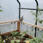 Cedar Complete Raised Garden Bed Kit with Greenhouse Cover 8' x 12' - Image 9