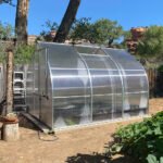 RIGA Greenhouse - Image 4