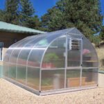 RIGA Greenhouse - Image 9