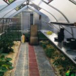 RIGA Greenhouse - Image 14