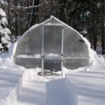 RIGA Greenhouse - Image 11