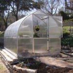 RIGA Greenhouse - Image 6