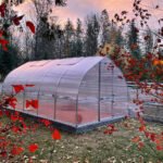 RIGA Greenhouse - Image 10