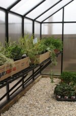 Riverstone MONT Greenhouse - Growers Package - Image 10