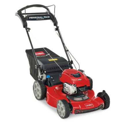Toro Recycler Self-Propelled Mower 163cc Briggs & Stratton 7.25 TP (22") #21462